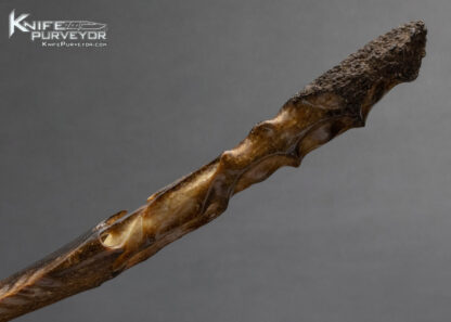 Carved Fossilized Walrus Letter Opener - Image 8