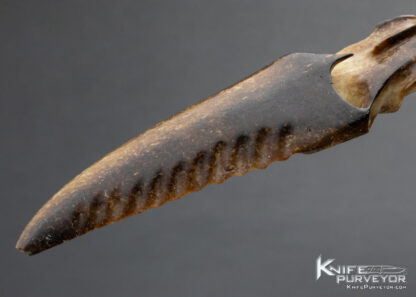 Carved Fossilized Walrus Letter Opener - Image 2