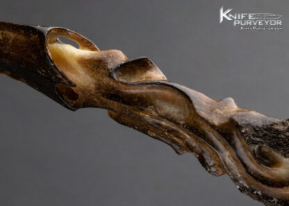 Carved Fossilized Walrus Letter Opener - Image 5