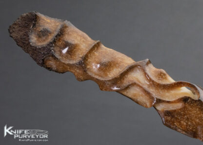 Carved Fossilized Walrus Letter Opener 14382