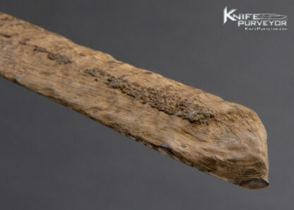 Fossilized Walrus Artifact Letter Opener 14356