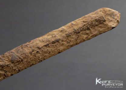 Fossilized Walrus Artifact Letter Opener - Image 2