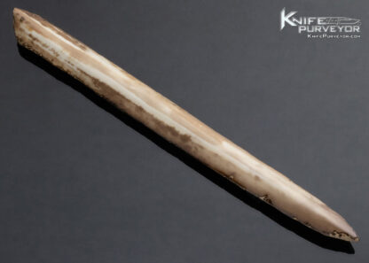 Fossilized Walrus Artifact Letter Opener - Image 4
