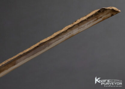 Fossilized Walrus Artifact Letter Opener - Image 6