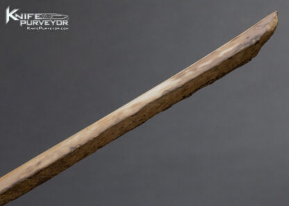 Fossilized Walrus Artifact Letter Opener - Image 7