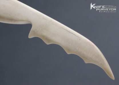 Carved Fossilized Walrus "Seal" Letter Opener - Image 6