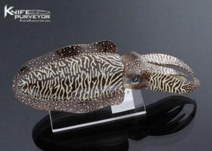Tsuguo Kurosawa Custom Knife Brown and White Tiger Pattern Squid - Image 2