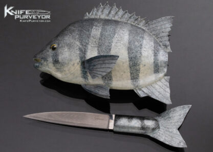Tsuguo Kurrosawa Knife Custom Knife Ishidai Striped Beakfish - Image 3