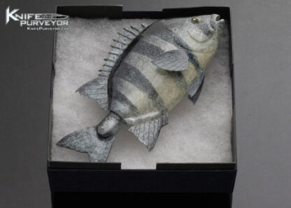 Tsuguo Kurrosawa Knife Custom Knife Ishidai Striped Beakfish - Image 6