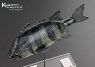 Tsuguo Kurrosawa, Custom Knife Ishidai Barred Knifejaw Fish 16348