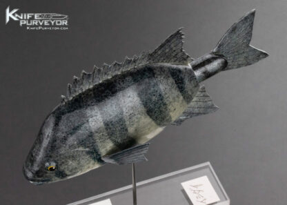 Tsuguo Kurrosawa, Custom Knife Ishidai Barred Knifejaw Fish 16348
