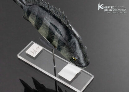 Tsuguo Kurrosawa Knife Custom Knife Ishidai Striped Beakfish - Image 2