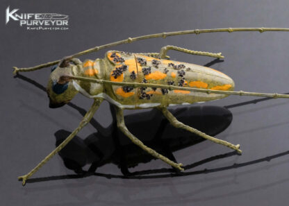 Tsuguo Kurosawa Custom Knife Carved Insect Painted and Lacquered Wood Handle - Image 2