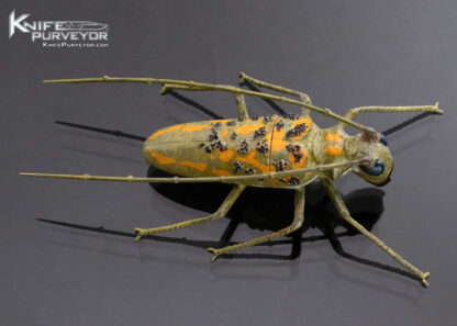 Tsuguo Kurosawa Custom Knife Carved Insect Painted and Lacquered Wood Handle - Image 3